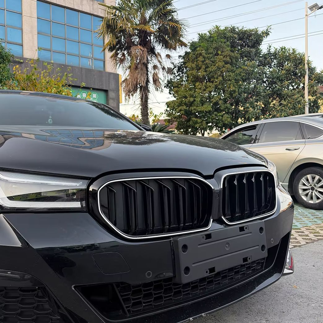 Grilles de calandre LED Performance pour BMW Série 5 G30 (2017 à 2025), vue 3