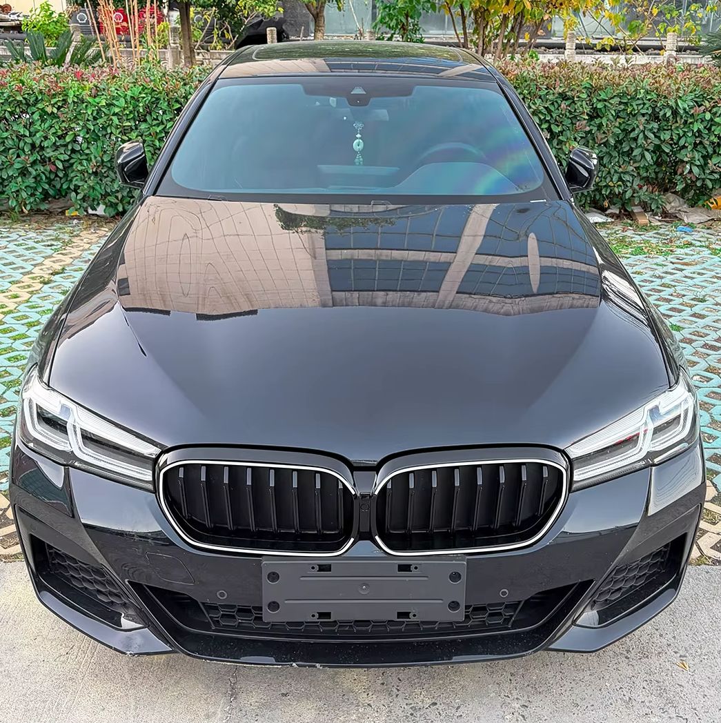 Grilles de calandre LED Performance pour BMW Série 5 G30 (2017 à 2025), vue 4
